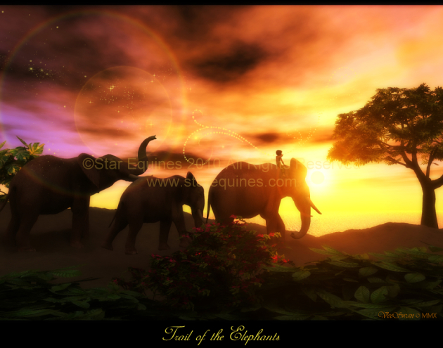 Trail of the Elephants