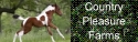 Country Pleasure Farms Tiny