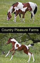 Country Pleasure Farms 140 x 220