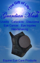 Guardian Mask 140 x 220