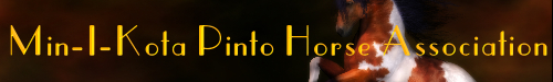 Min-I-Kota Pinto Horse Association