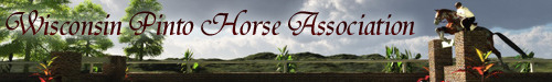 Wisconsin Pinto Horse Association 500 x 75